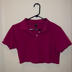 A pink/purple crop top from wild fable